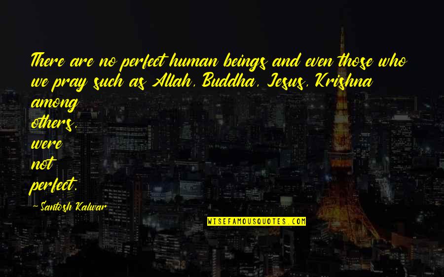 Playing Footsie Quotes By Santosh Kalwar: There are no perfect human beings and even