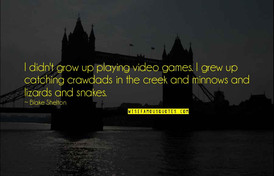 Playing Games Quotes By Blake Shelton: I didn't grow up playing video games. I