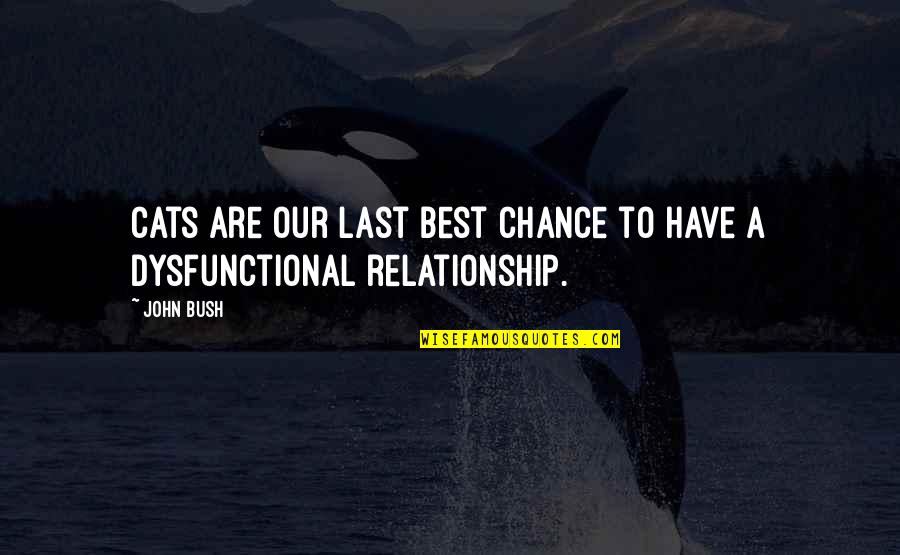 Playing Games With People's Heart Quotes By John Bush: Cats are our last best chance to have