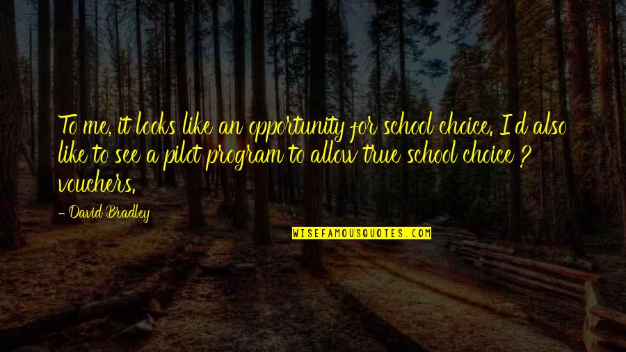 Playtime For Children Quotes By David Bradley: To me, it looks like an opportunity for Playtime For Children Quotes By David Bradley: To me, it looks like an opportunity for
