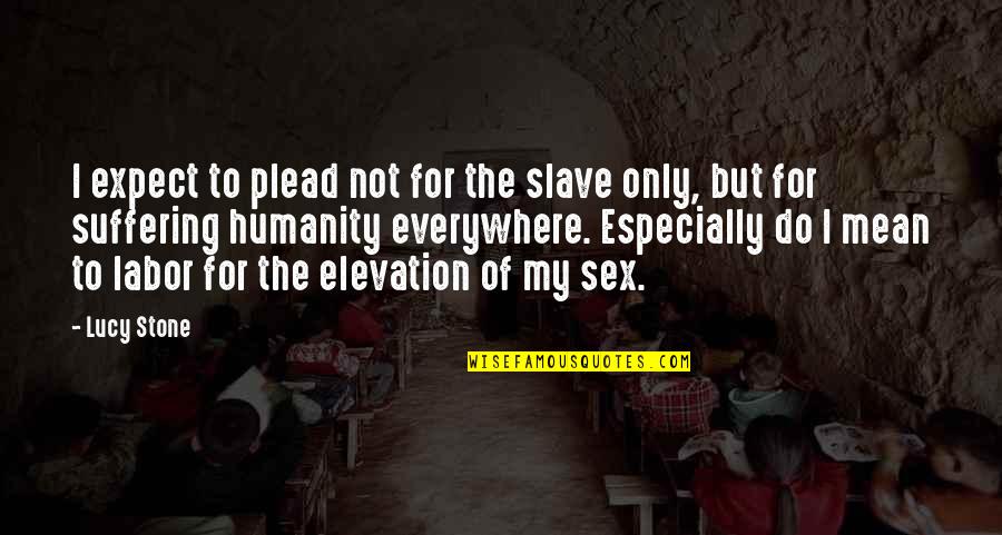 Plead Quotes By Lucy Stone: I expect to plead not for the slave