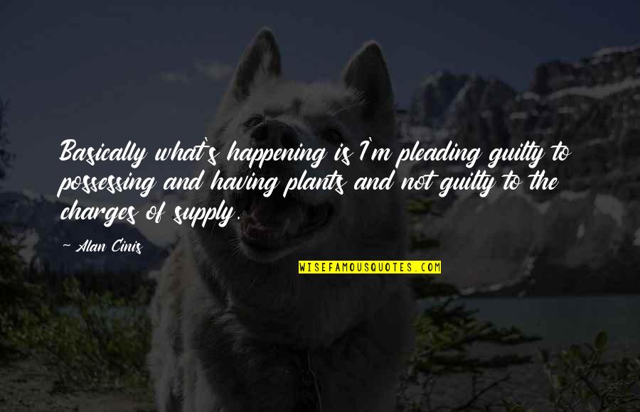 Pleading Guilty Quotes By Alan Cinis: Basically what's happening is I'm pleading guilty to