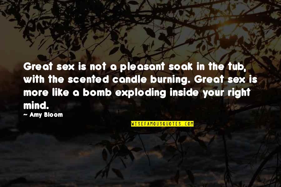 Pleasant Mind Quotes By Amy Bloom: Great sex is not a pleasant soak in