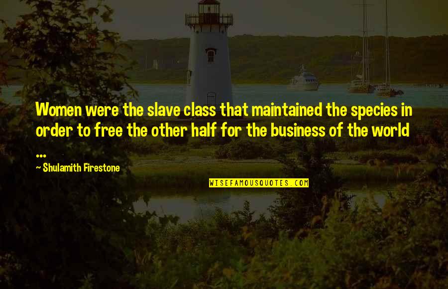 Please Forgive Me I Love You Quotes By Shulamith Firestone: Women were the slave class that maintained the