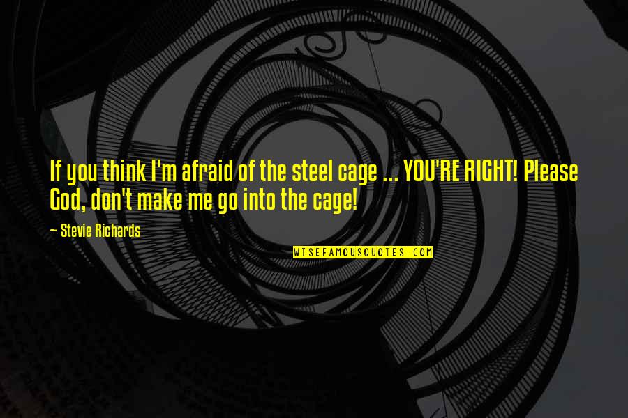 Please Go Out With Me Quotes By Stevie Richards: If you think I'm afraid of the steel