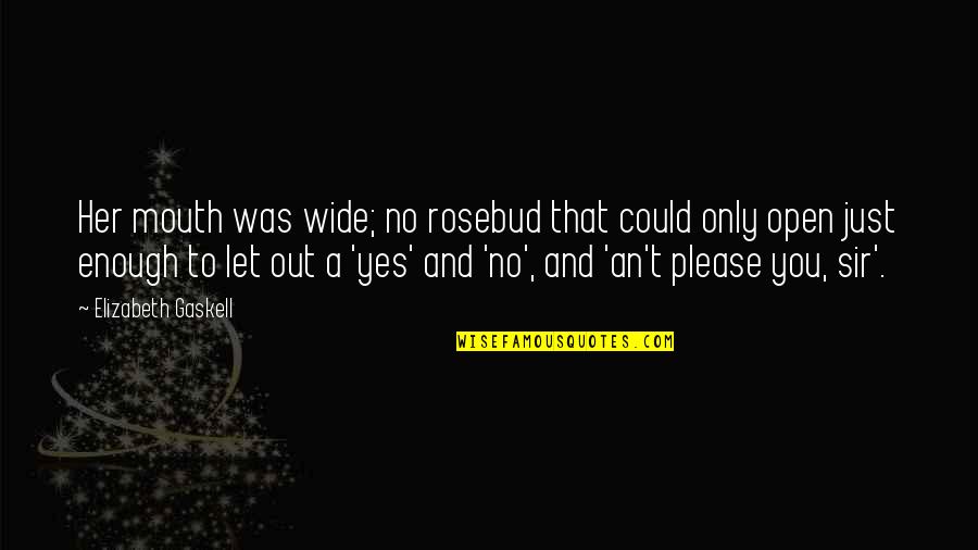 Please Her Quotes By Elizabeth Gaskell: Her mouth was wide; no rosebud that could