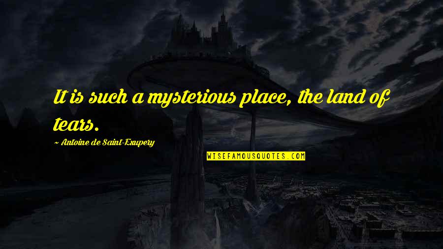 Please Stop Hating Me Quotes By Antoine De Saint-Exupery: It is such a mysterious place, the land