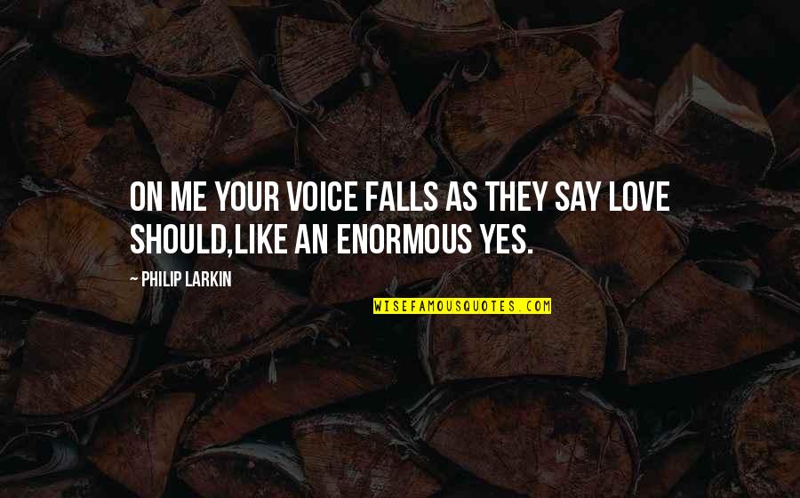 Please Take One Quotes By Philip Larkin: On me your voice falls as they say