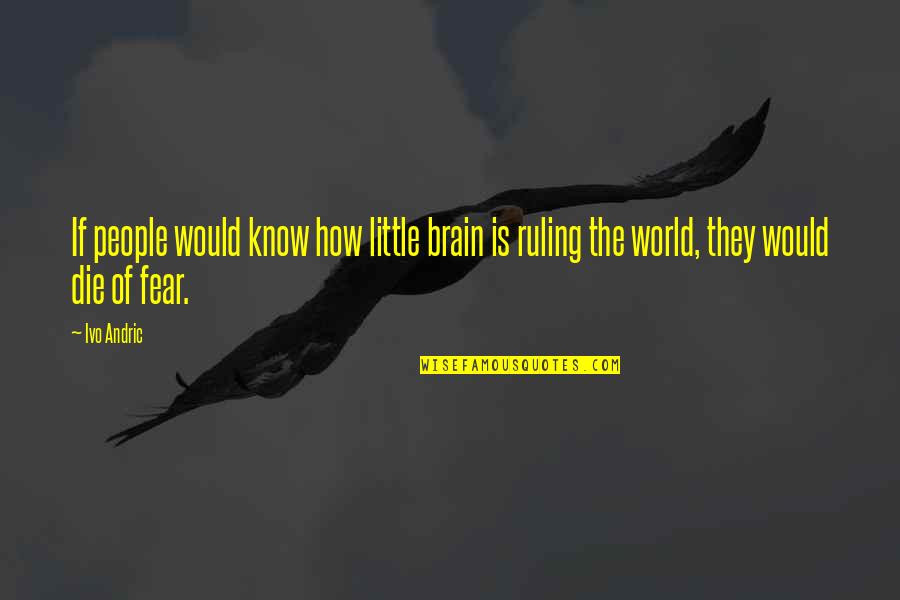 Pleasing Others Before Yourself Quotes By Ivo Andric: If people would know how little brain is