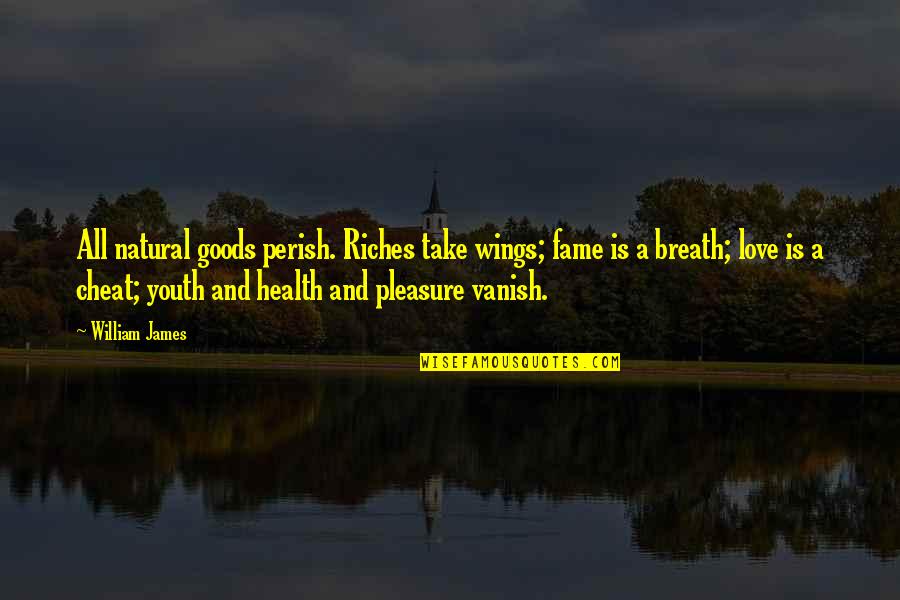 Pleasure And Love Quotes By William James: All natural goods perish. Riches take wings; fame