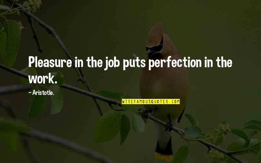 Pleasure In Work Quotes By Aristotle.: Pleasure in the job puts perfection in the