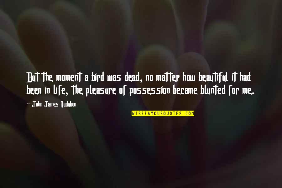 Pleasure Moment Quotes By John James Audubon: But the moment a bird was dead, no