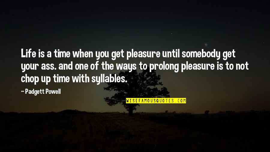 Pleasure Of Life Quotes By Padgett Powell: Life is a time when you get pleasure