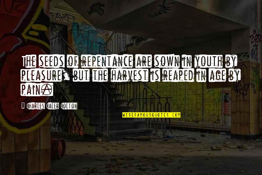 Pleasure Pain Quotes By Charles Caleb Colton: The seeds of repentance are sown in youth