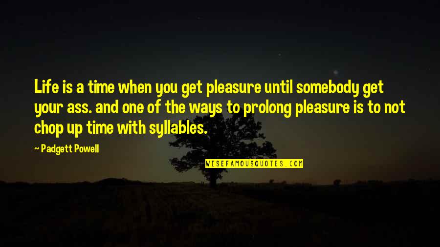 Pleasure Time Quotes By Padgett Powell: Life is a time when you get pleasure
