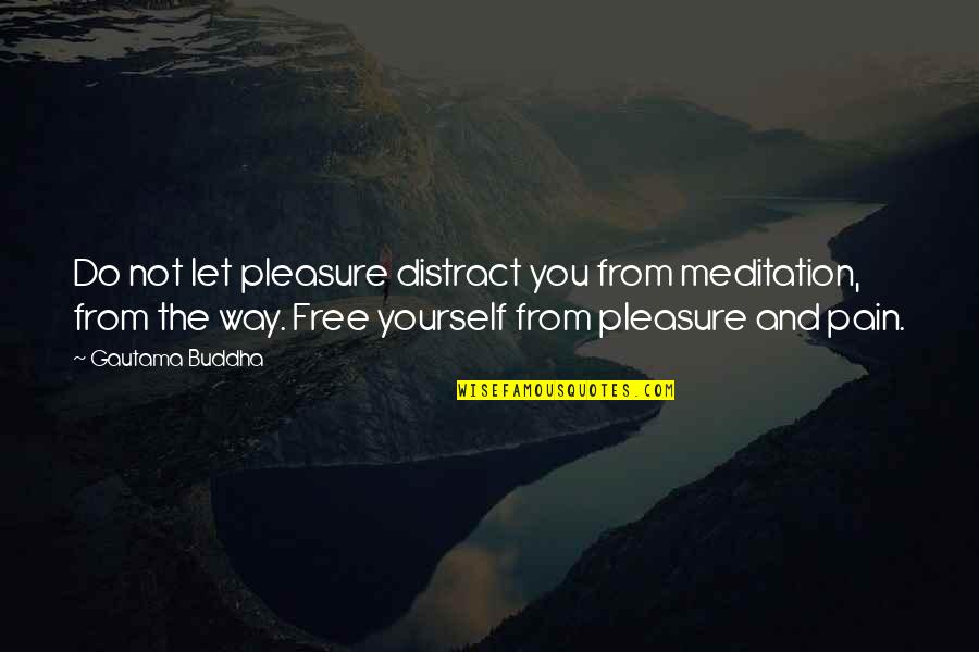 Pleasure Yourself Quotes By Gautama Buddha: Do not let pleasure distract you from meditation,