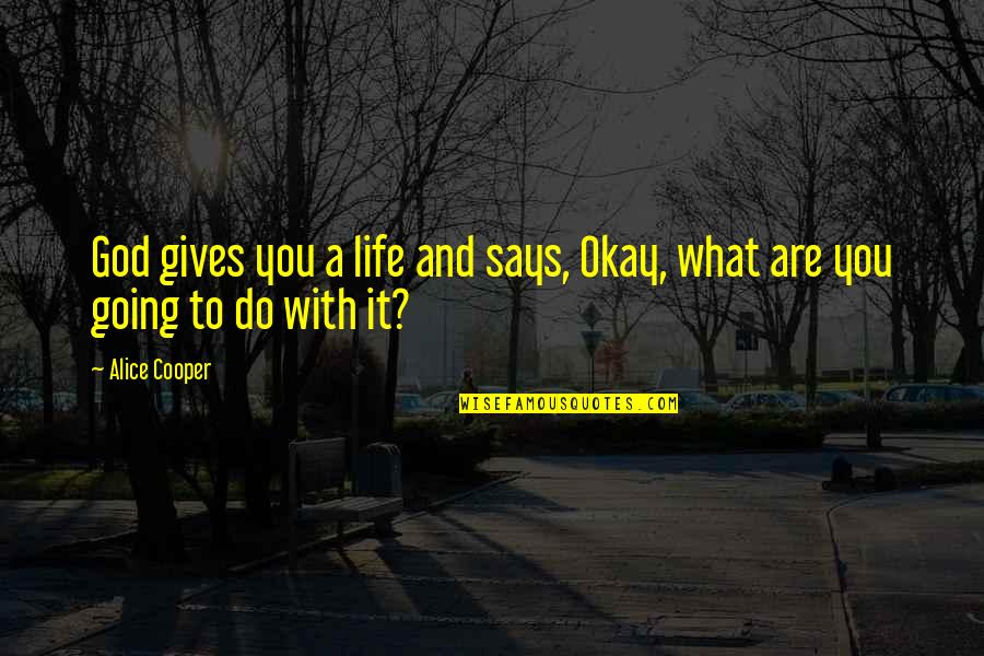 Pledeian Quotes By Alice Cooper: God gives you a life and says, Okay,