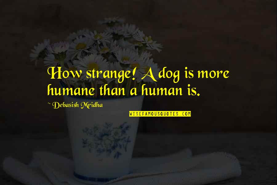 Pleksiglass Quotes By Debasish Mridha: How strange! A dog is more humane than