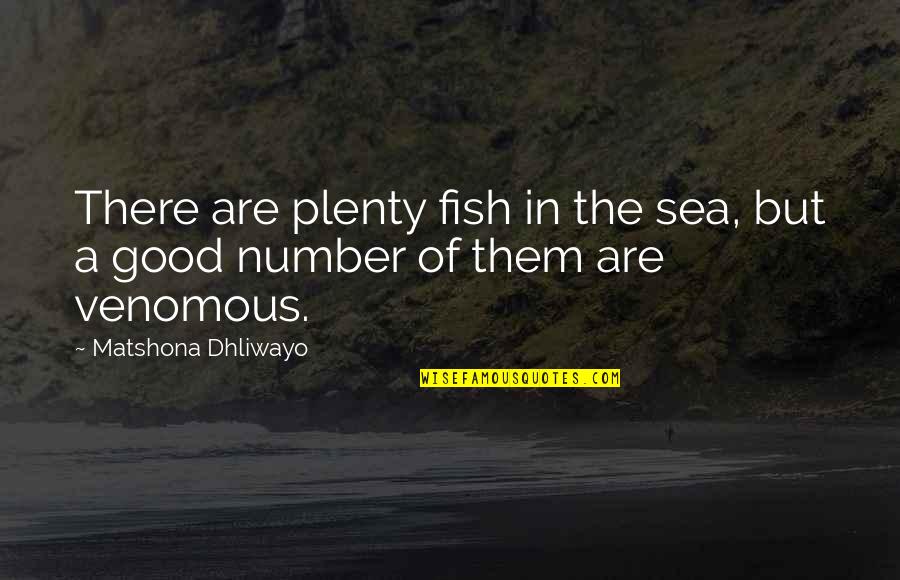 Plenty More Fish In The Sea Quotes By Matshona Dhliwayo: There are plenty fish in the sea, but