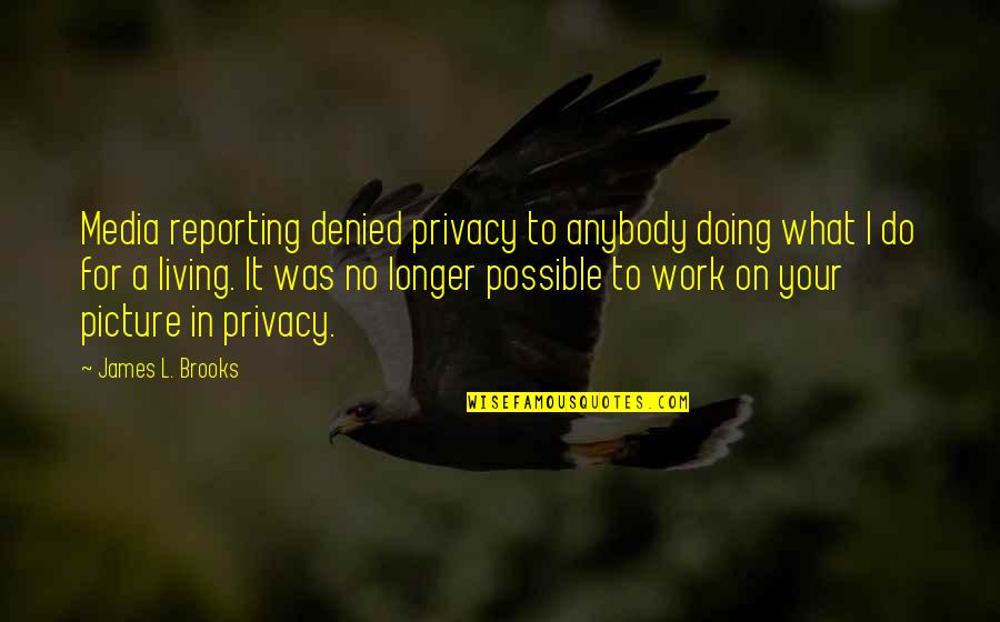 Plenty Of Fish Love Quotes By James L. Brooks: Media reporting denied privacy to anybody doing what