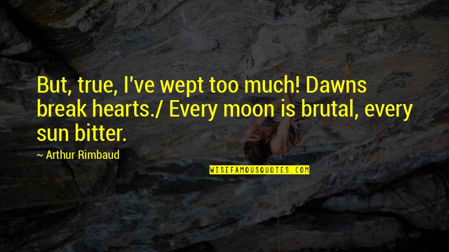 Plesniak Pani Quotes By Arthur Rimbaud: But, true, I've wept too much! Dawns break