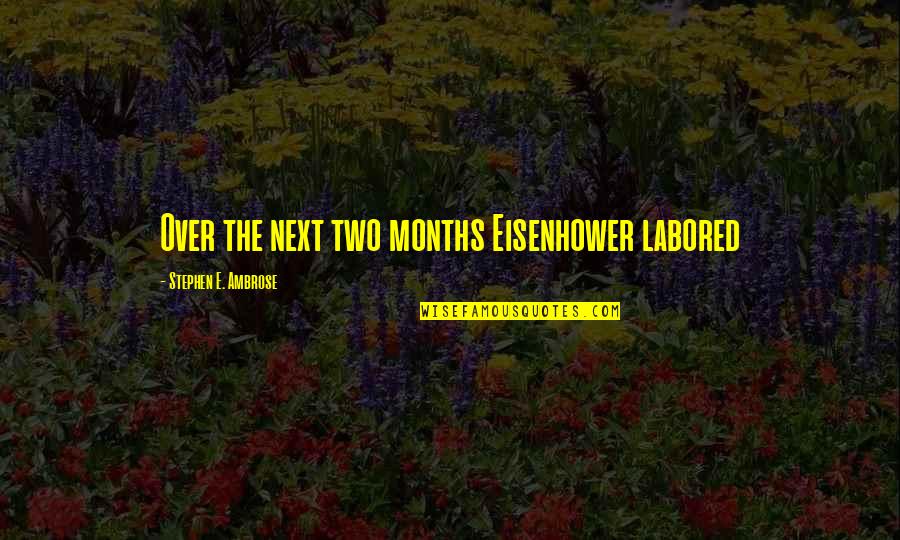 Pleuger Original Spinning Quotes By Stephen E. Ambrose: Over the next two months Eisenhower labored