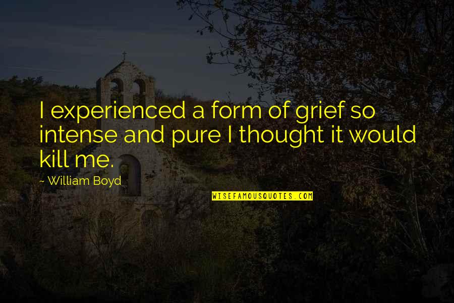 Pleurez Doux Quotes By William Boyd: I experienced a form of grief so intense