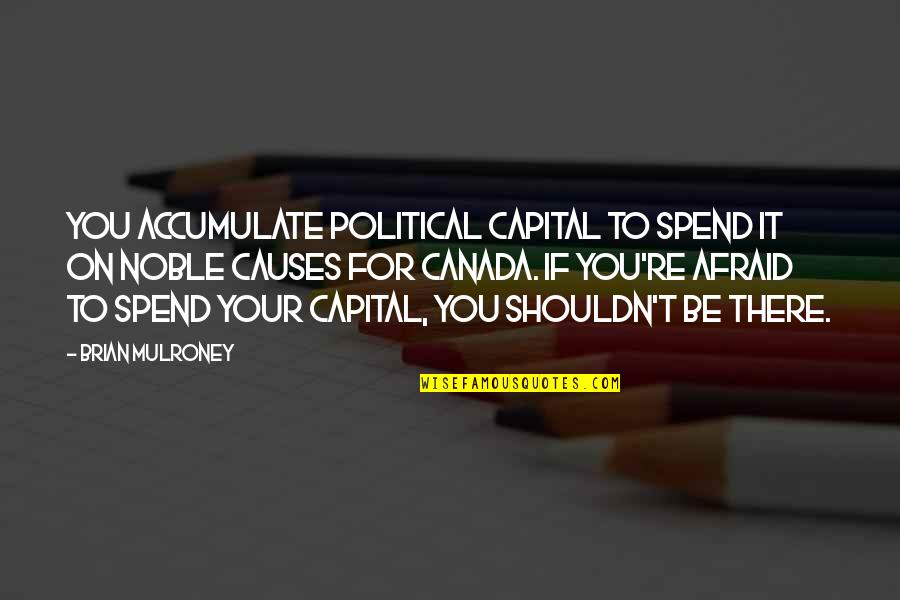 Plexiglas Quotes By Brian Mulroney: You accumulate political capital to spend it on