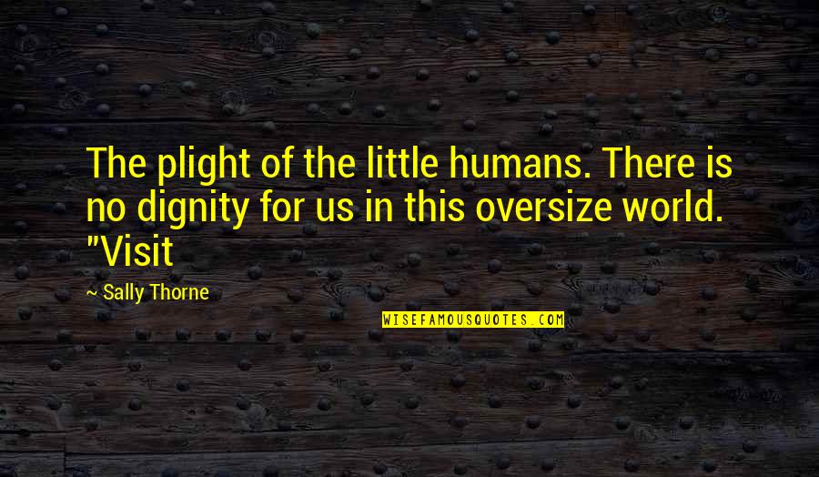 Plight's Quotes By Sally Thorne: The plight of the little humans. There is Plight's Quotes By Sally Thorne: The plight of the little humans. There is