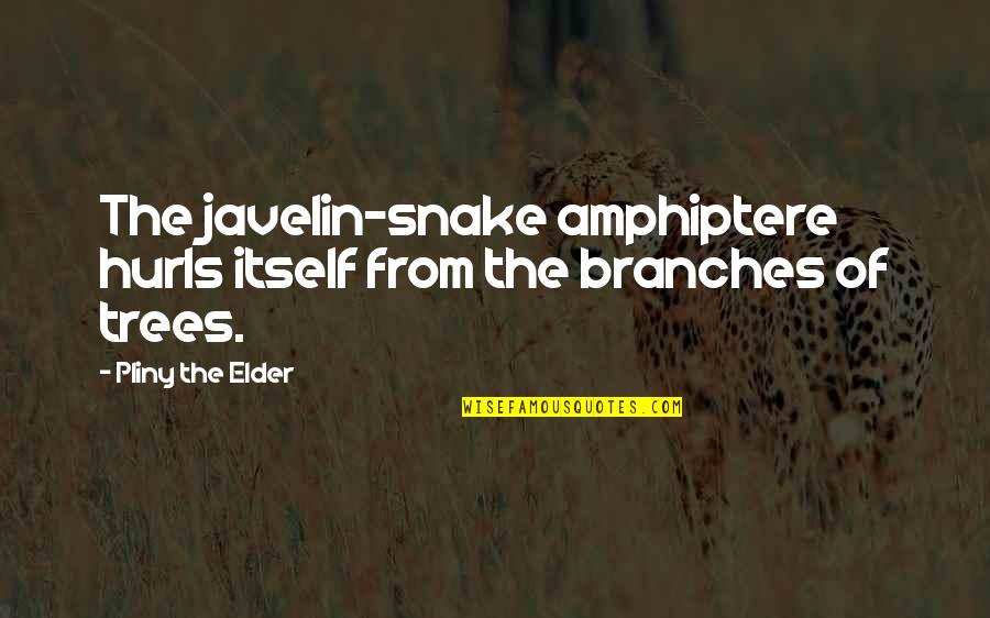 Pliny Quotes By Pliny The Elder: The javelin-snake amphiptere hurls itself from the branches