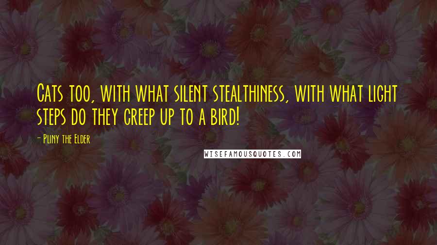 Pliny The Elder quotes: Cats too, with what silent stealthiness, with what light steps do they creep up to a bird!