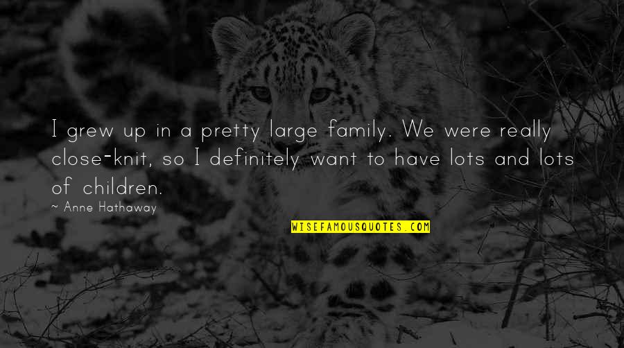 Pll 2x13 Quotes By Anne Hathaway: I grew up in a pretty large family.