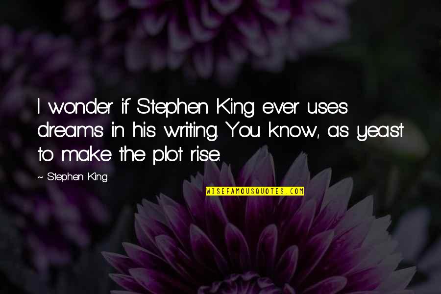 Plot Writing Quotes By Stephen King: I wonder if Stephen King ever uses dreams