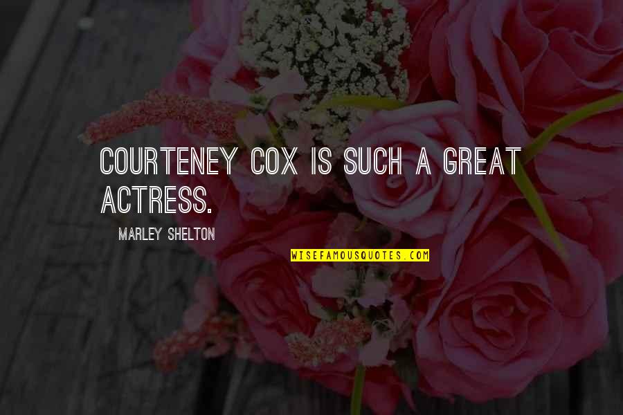 Plotzed Quotes By Marley Shelton: Courteney Cox is such a great actress.