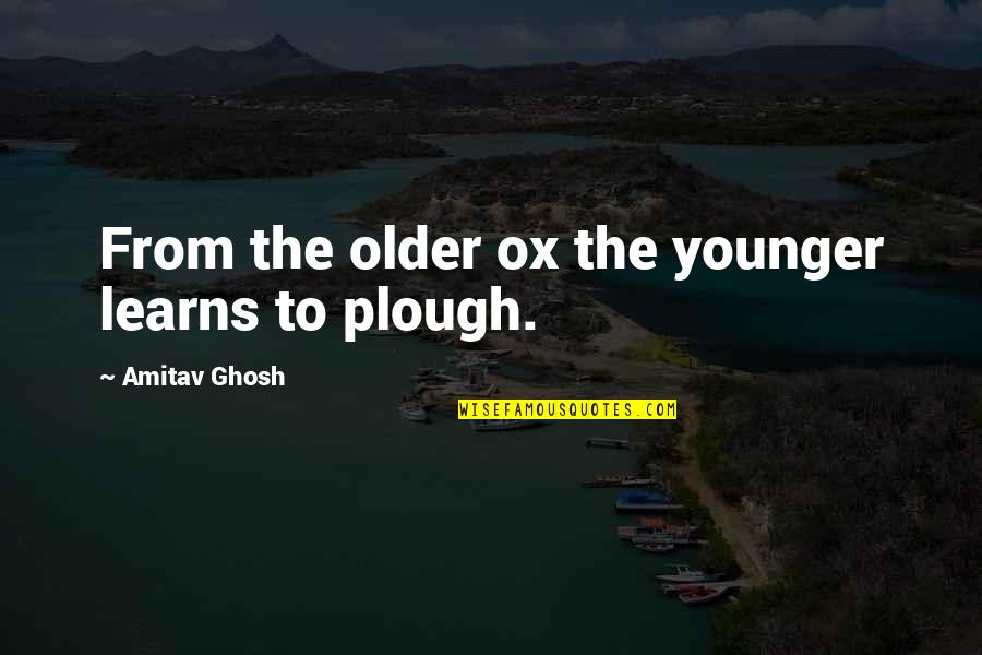 Plough Quotes By Amitav Ghosh: From the older ox the younger learns to