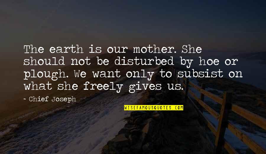 Plough Quotes By Chief Joseph: The earth is our mother. She should not