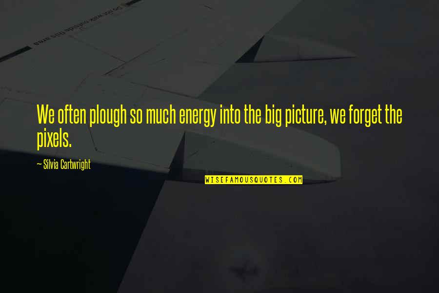 Plough Quotes By Silvia Cartwright: We often plough so much energy into the