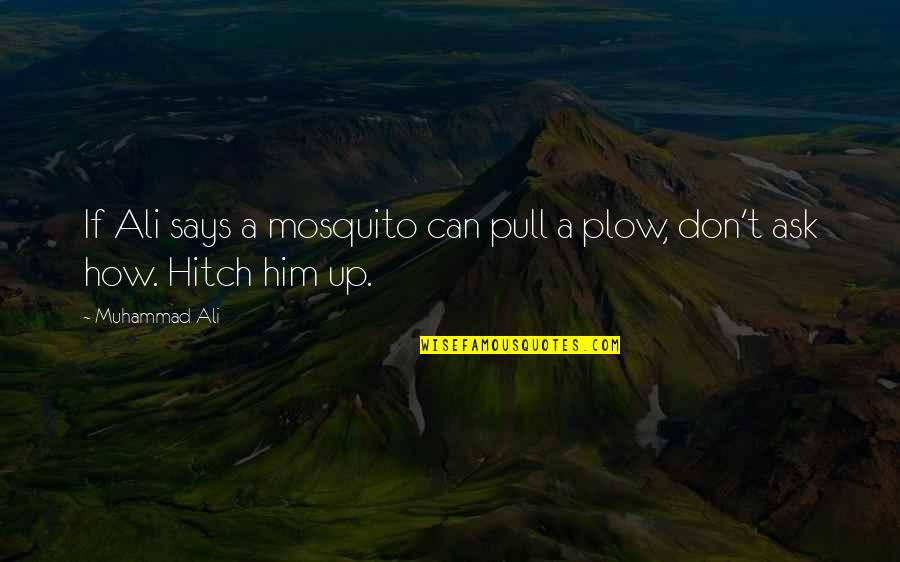 Plow Quotes By Muhammad Ali: If Ali says a mosquito can pull a