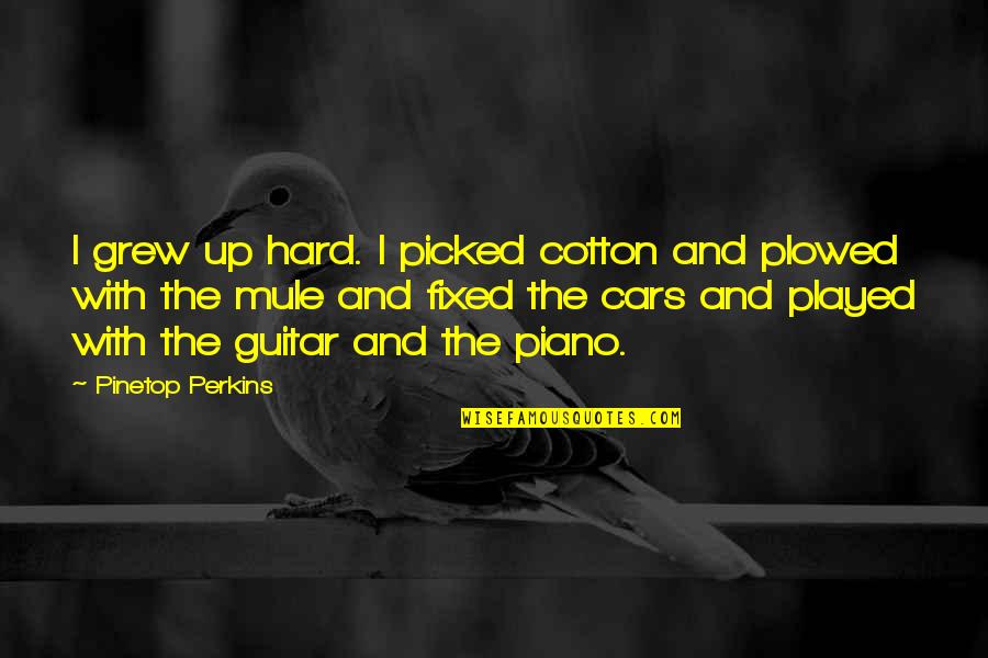 Plowed Quotes By Pinetop Perkins: I grew up hard. I picked cotton and