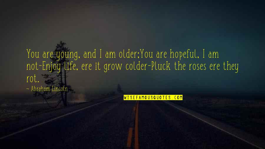 Pluck Quotes By Abraham Lincoln: You are young, and I am older;You are