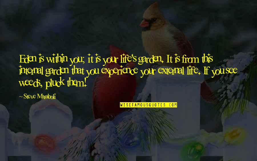 Pluck Quotes By Steve Maraboli: Eden is within you; it is your life's