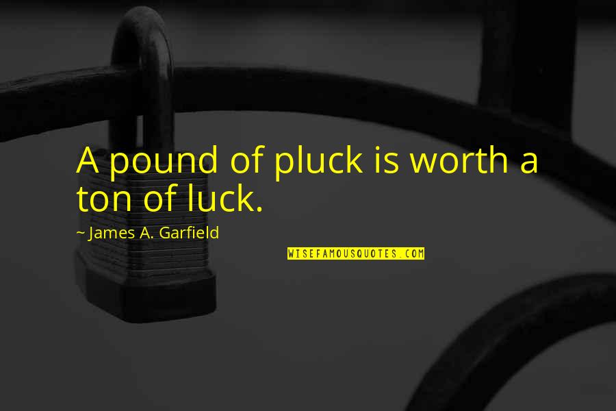 Pluck'd Quotes By James A. Garfield: A pound of pluck is worth a ton