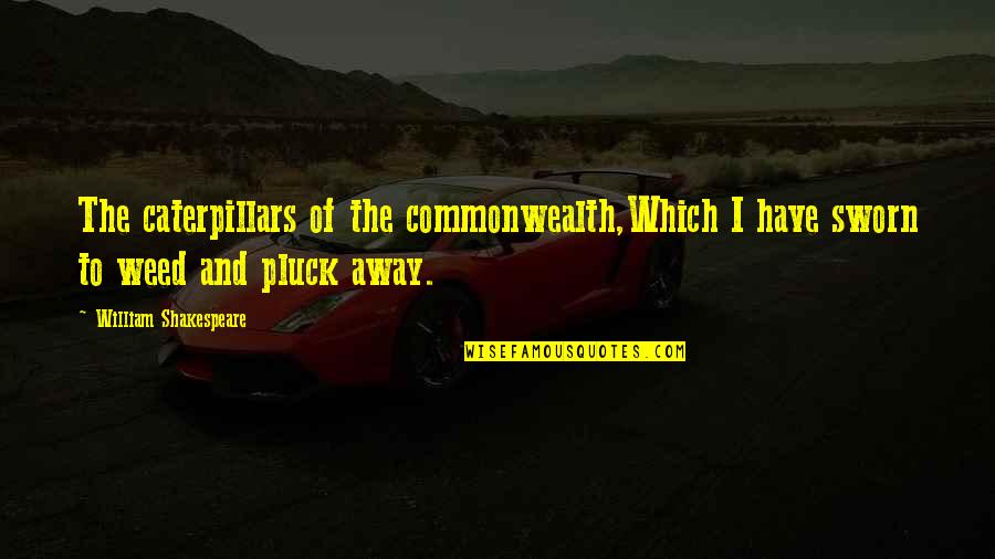 Pluck'd Quotes By William Shakespeare: The caterpillars of the commonwealth,Which I have sworn