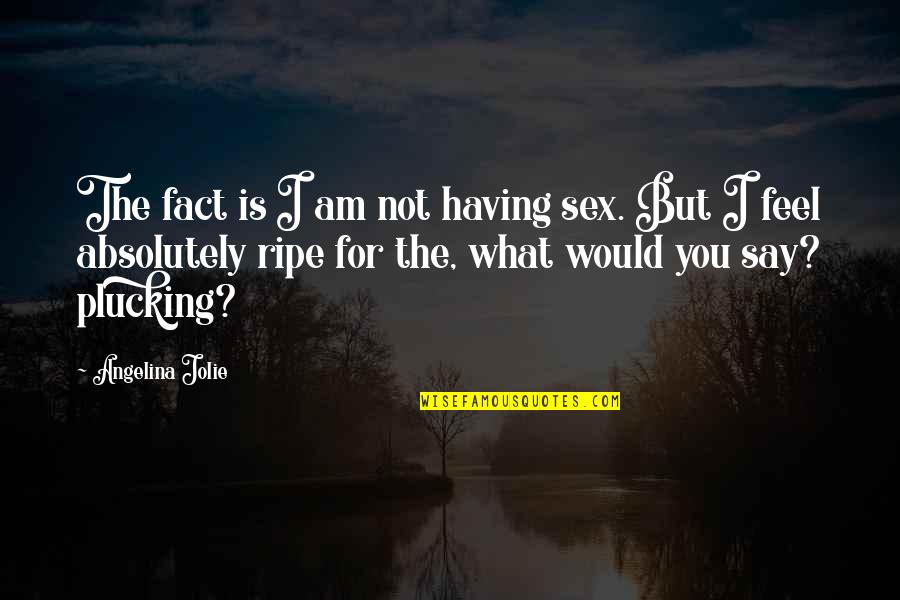 Plucking Quotes By Angelina Jolie: The fact is I am not having sex.