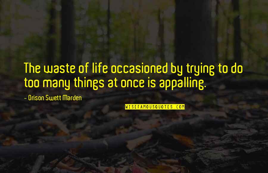Plucky Knitter Quotes By Orison Swett Marden: The waste of life occasioned by trying to