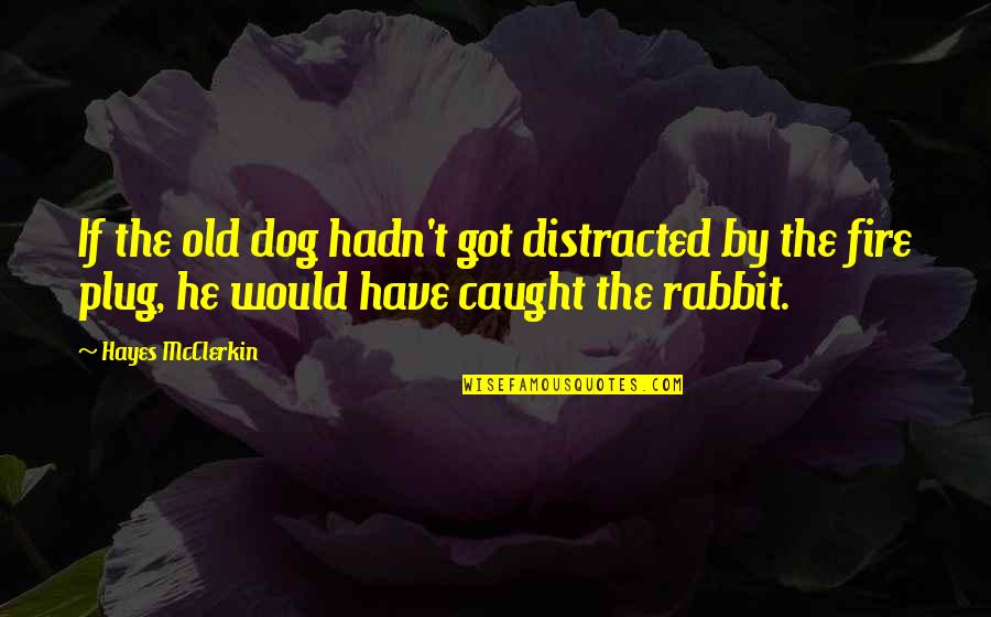 Plug Quotes By Hayes McClerkin: If the old dog hadn't got distracted by