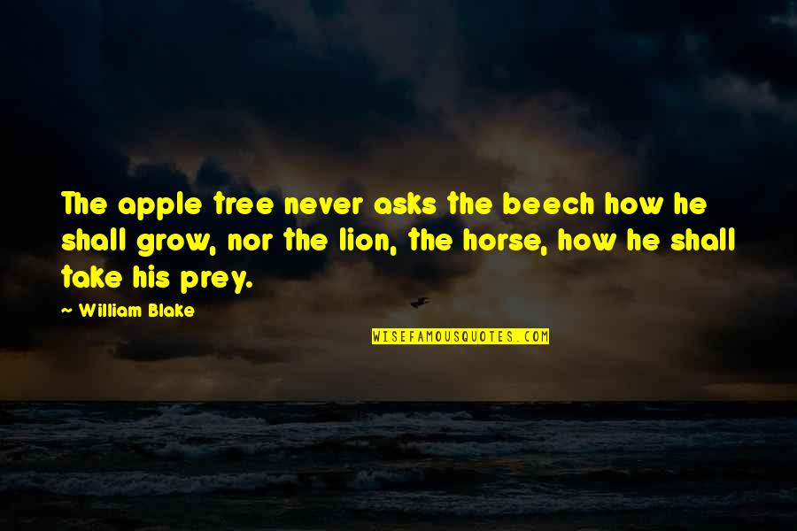 Plugs In Eyes Quotes By William Blake: The apple tree never asks the beech how Plugs In Eyes Quotes By William Blake: The apple tree never asks the beech how