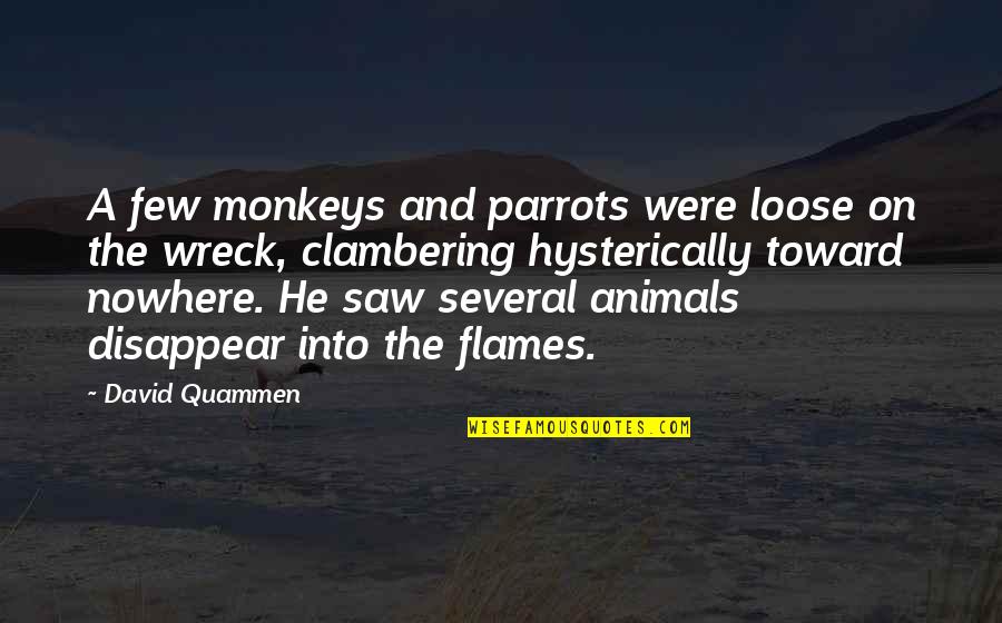 Pluies Acides Quotes By David Quammen: A few monkeys and parrots were loose on