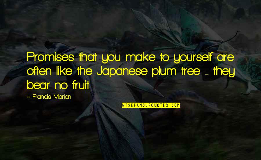Plum Quotes By Francis Marion: Promises that you make to yourself are often