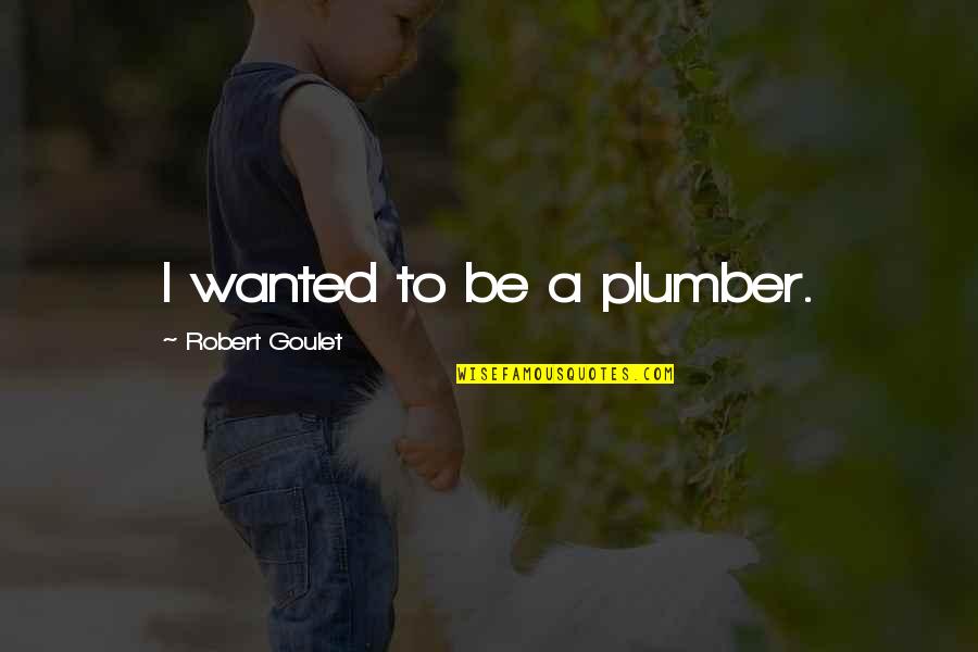 Plumber Quotes By Robert Goulet: I wanted to be a plumber.